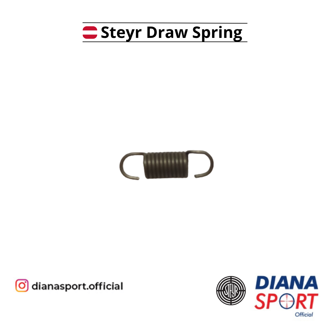 Steyr Draw Spring  