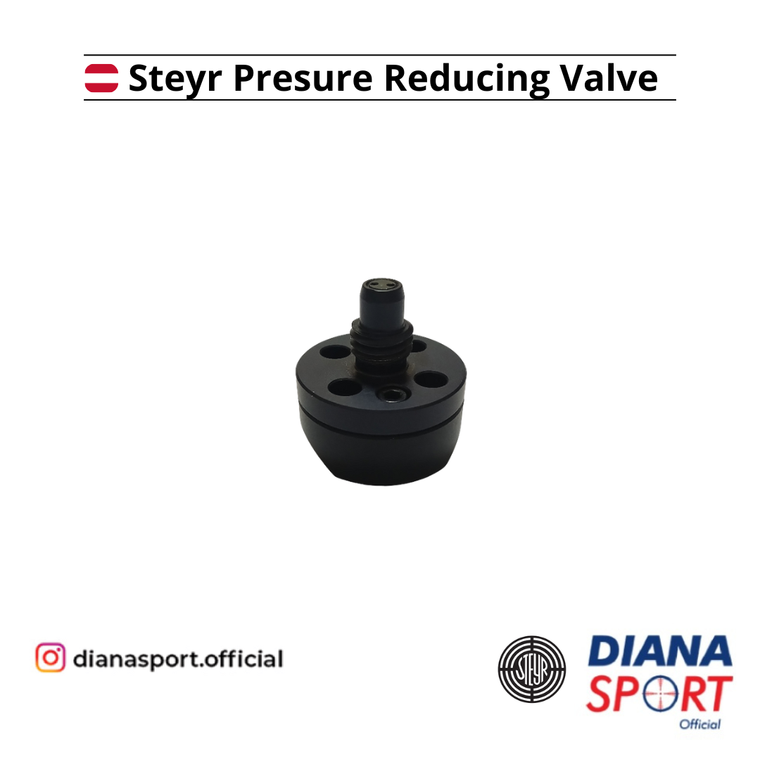 Steyr Presure Reducing Valve 