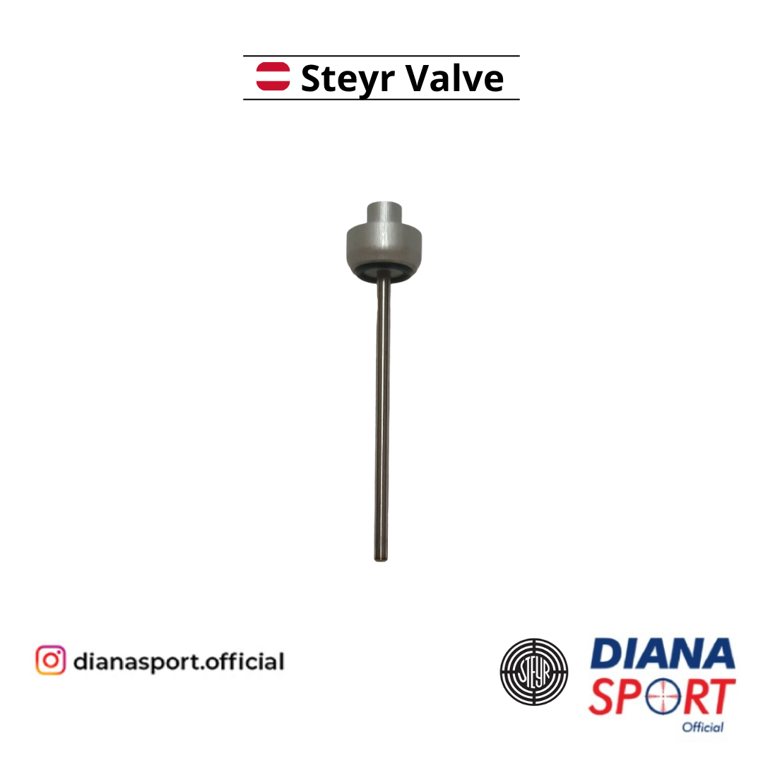 Steyr Valve FT 